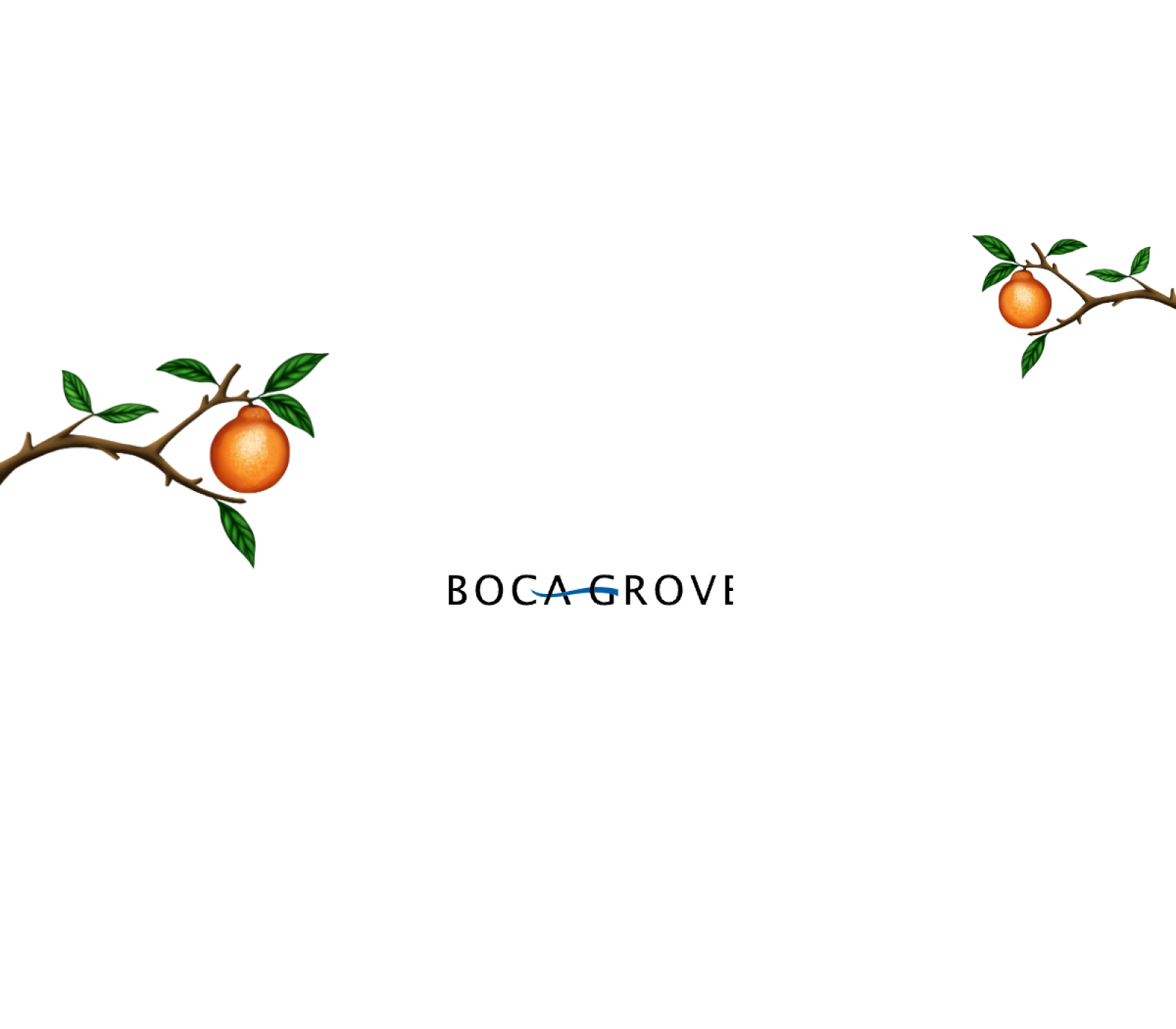 Boca Grove official website imagery