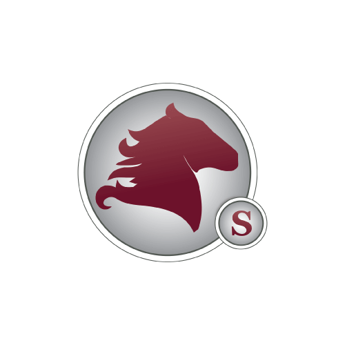Stallion Medical Management Primary Care logo